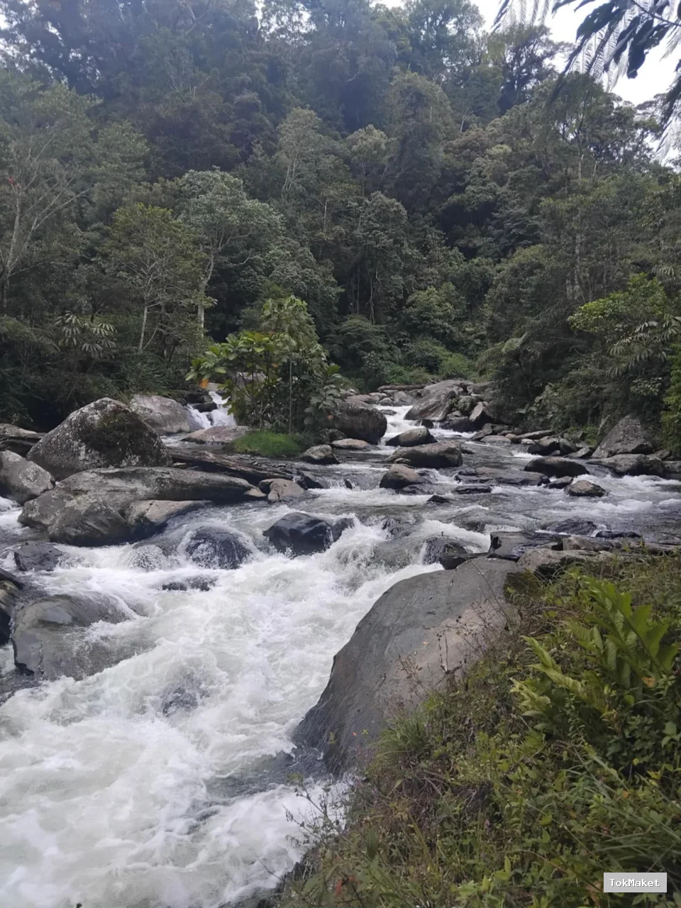 Kokoda Trekking River